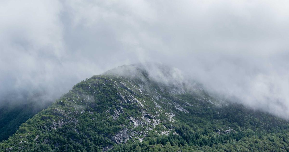 Cách một chuỗi nhà hàng địa phương tăng doanh thu 40% với neoConnect