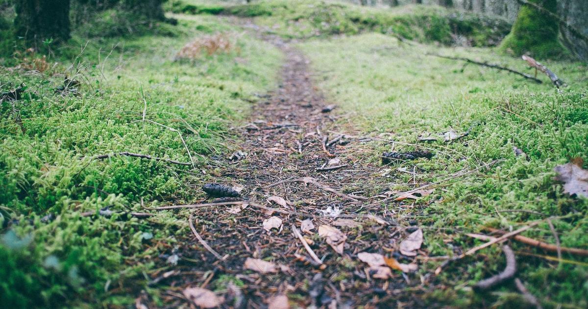 Fitness Studio Expands with Mobile App