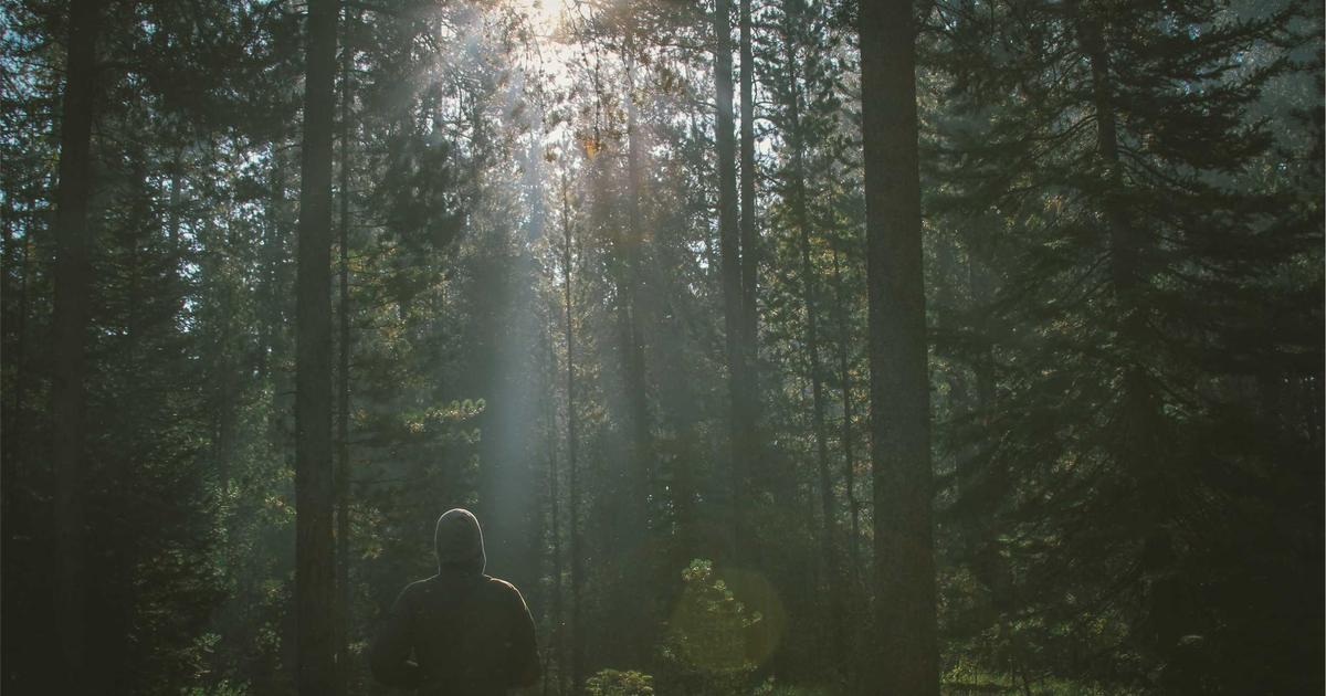 Mạng lưới trường mầm non cải thiện vận hành với neoKinder