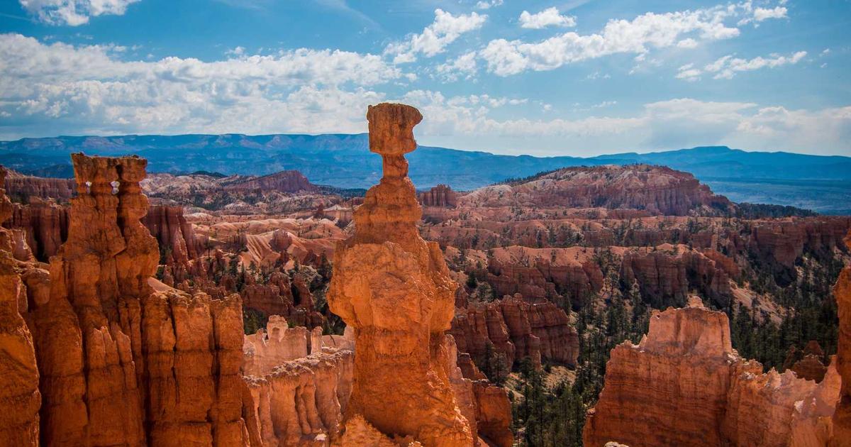 Từ dự án ngoài lề đến doanh nghiệp triệu đô