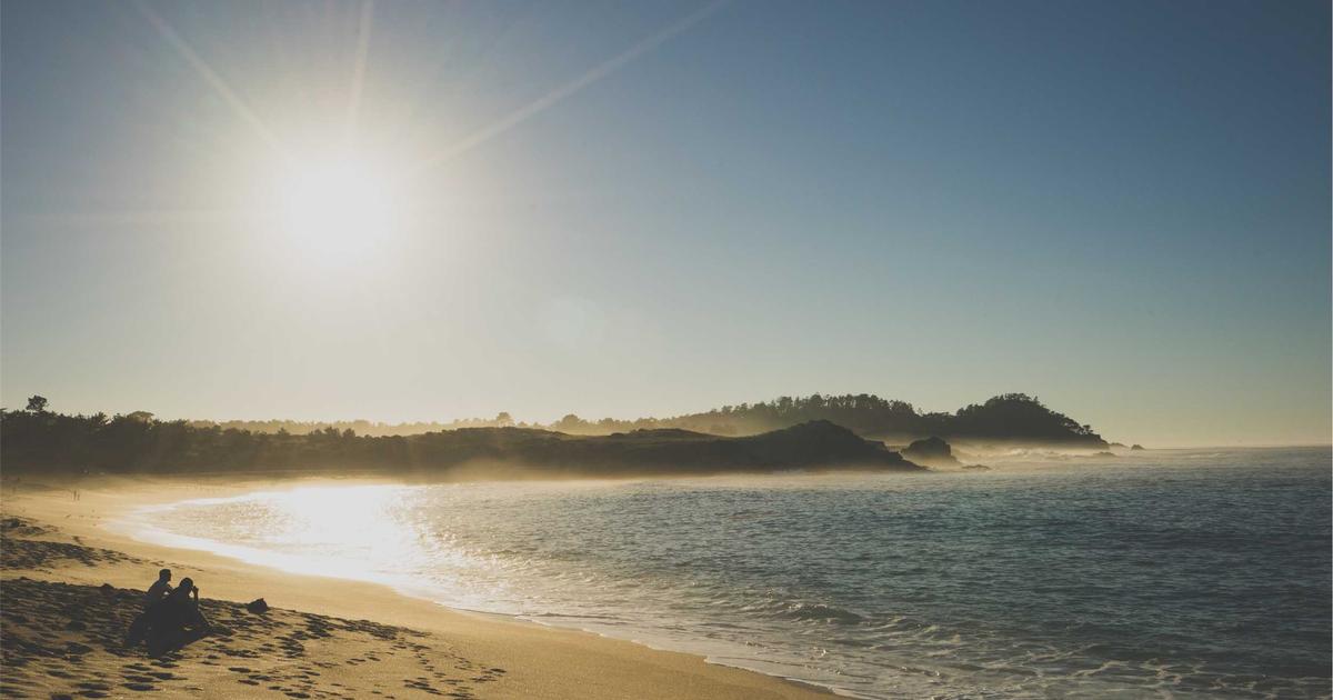 How to Build Your First Web App with neoSuite