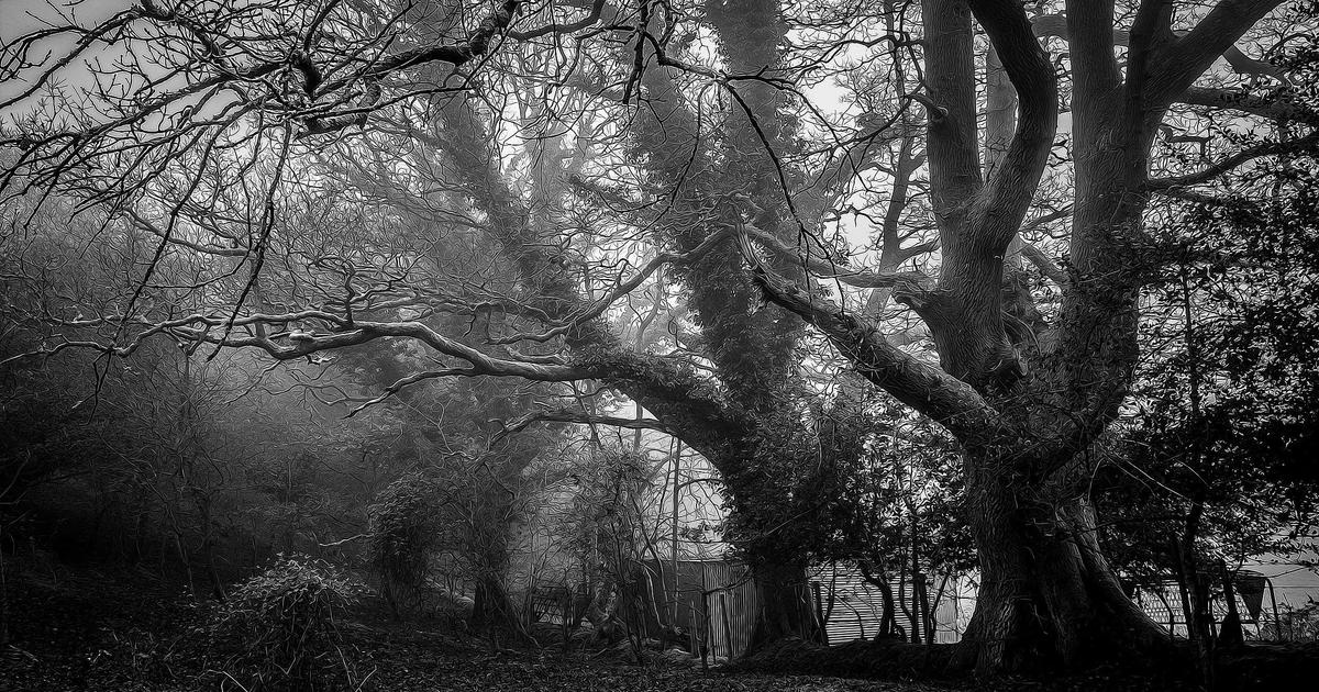 Xây dựng ứng dụng di động: Từ ý tưởng đến App Store