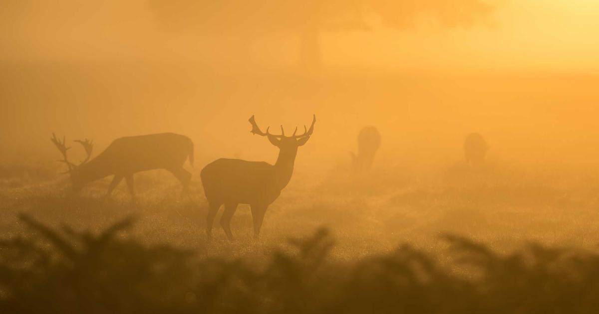Hiểu về Kiến trúc API: Các Thực hành Tốt nhất cho Ứng dụng Hiện đại