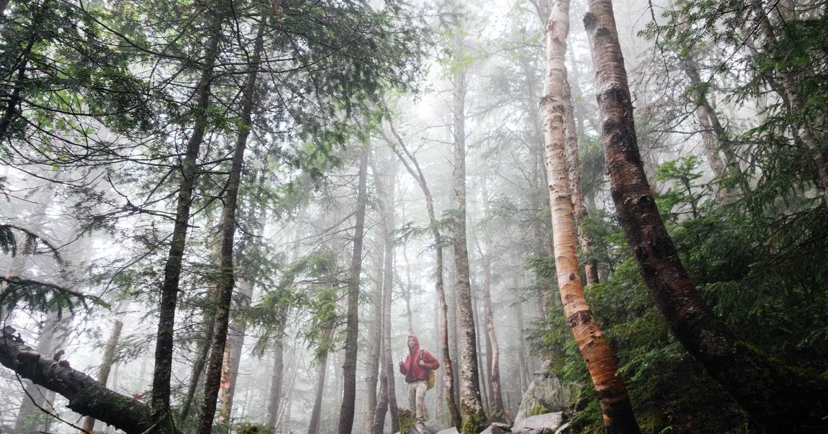 Điện toán Đám mây: Hiểu về Hạ tầng dưới dạng Mã nguồn (IaC)