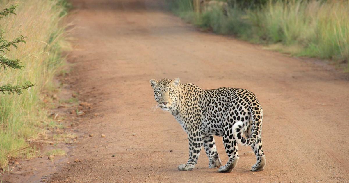 Tại sao nhắc hẹn tự động là bước ngoặt cho các doanh nghiệp dịch vụ
