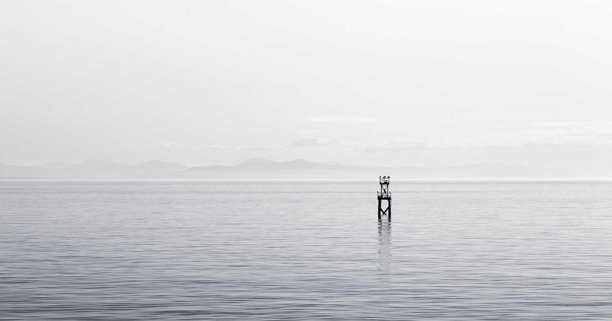 Subscription Business Success with neoSuite